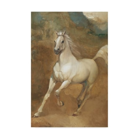 Albena Hristova 'White Knight Crop' Canvas Art,16x24